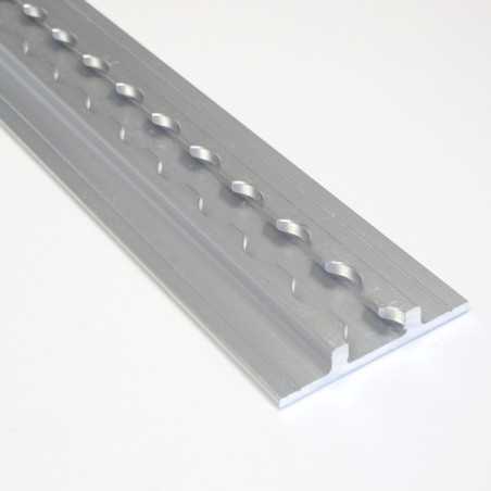 Rail Aero Aviation à ailettes -1M