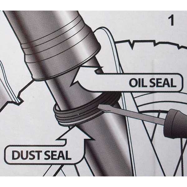 Nettoyeur de fourches SEAL DOCTOR